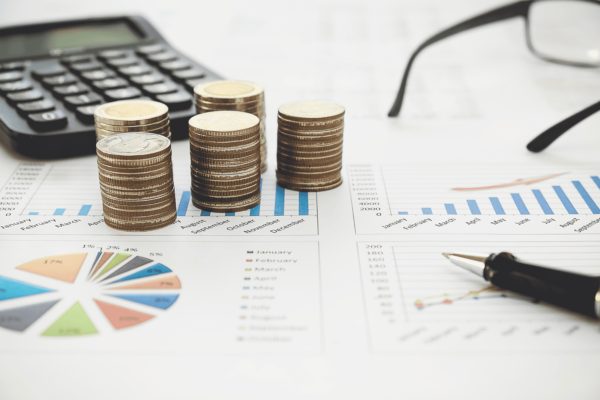 Finanças Sistêmicas: o método que promete revolucionar a relação com o dinheiro 31