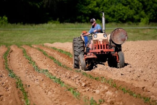 Trabalhador rural, tá pegando no pesado sem registro? A farmer driving a tractor plowing rows in a rural North Carolina field on a sunny day.
